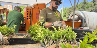 SE SOLICITAN 40 TRABAJADORES/AS PARA VIVERO DE PLANTAS (CON O SIN EXPERIENCIA), 40 HORAS SEMANALES. PAGO $18.18 POR HORA Trabajadores Para Vivero de Plantas en USA Empleo en McCordsville Empleo en Indiana Empleo sin experiencia en USA Plant Nursery Workers in the USA Jobs without experience in the USA