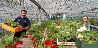 SE SOLICITAN TRABAJADORES PARA VIVERO DE PLANTAS (HOMBRES Y MUJERES), 16 VACANTES. POCA EXPERIENCIA, PAGO $3631 AL MES Y ALOJAMIENTO Trabajadores Para Vivero de Plantas en USA Plant Nursery Workers in the USA
