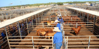 SE NECESITAN AYUDANTES DE RANCHO (MANO DE OBRA GENERAL) CON O SIN EXPERIENCIA, 3 PUESTOS. PAGO $18.32 POR HORA Ayudantes de Rancho Mano de Obra General Pender empleo en Nebraska Empleo sin experiencia en USA empleado para granja en USA Ranch Helpers General Labor Stop job in Nebraska