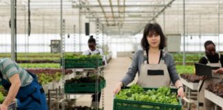 SE NECESITAN 2 EMPACADORES/AS DE VEGETALES PARA INVERNADERO (NO REQUIERE EXPERIENCIA, SE CAPACITARÁ). PAGO $17.40 POR HORA Empacadores de Vegetales Para Invernadero en Canadá Empleo sin experiencia en Canadá Agricultural Laborer Jobs in Canada Jobs without experience in Canada