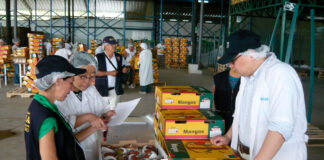 SE SOLICITAN 50 EMPACADORES/AS DE VEGETALES Y FRUTAS (NO SE REQUIERE EXPERIENCIA, SE CAPACITARÁ), TRABAJO PERMANENTE. PAGO $3028 AL MES Empacadores de verduras y frutas en Canadá Personnel for Fruit Packaging