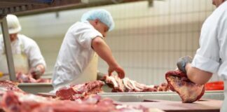 SE SOLICITAN EMPACADORES/AS (CON O SIN EXPERIENCIA) PARA PLANTA PROCESADORA DE CARNE, 2DO TURNO. PAGO $20.50 POR HORA + HORAS EXTRAS Empacadores en USA Planta Procesadora de Carne en USA Empleo en Ciudad de Industry Empleo en Los Ángeles Empleo sin experiencia en USA Packers in USA Meat Processing Plant in USA