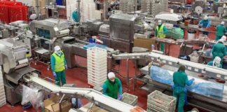 SE BUSCA OPERARIO/A DE PRODUCCIÓN Y ENVASADO (MÍNIMA EXPERIENCIA), TURNO DE MAÑANA DE LUNES A VIERNES. PAGO 9,67 € POR HORA Operario de Producción fabricación de platos preparados asiáticos Empleo en Alcalá De Henares Empleo en Madrid Production Operator manufacturing Asian prepared dishes Employment in Madrid