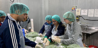 SE NECESITAN OPERARIOS/AS DE PRODUCCIÓN (POCA EXPERIENCIA), EMPRESA DE ALIMENTOS. 3ER TUNO, PAGO $17.00 POR HORA Operarios de Producción Empresa de Alimentos Empleo en Gardena y Torrance Empleo en Los Ángeles Empleo en California Production Operators Food Company in USA