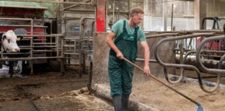 SE NECESITAN TRABAJADORES/AS DE GRANJA LECHERA (5 VACANTES), SE OFRECE CONTRATO PERMANENTE Y BUENA REMUNERACIÓN Trabajadores de Granja Lechera en Atwood Empleo en Ontario Trabajadores de Granja Lechera en Canadá Employment in Ontario Dairy Farm Workers in Canada
