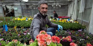 SE BUSCAN 6 TRABAJADORES/AS PARA VIVERO DE PLANTAS, NO REQUIERE EXPERIENCIA. SUELDO $2845 POR MES Vivero Trabajadores Para Vivero de Plantas nursery helpers