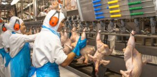 SE NECESITAN AUXILIARES DE PRODUCCIÓN (HOMBRES Y MUJERES), EMPRESA FAMILIAR DE ALIMENTOS Y AGRICULTURA. BUEN PAGO POR HORA Auxiliares de Producción Empresa Familiar de Alimentos y Agricultura empleo de Producción avicola Production Assistants Family Food and Agriculture Company
