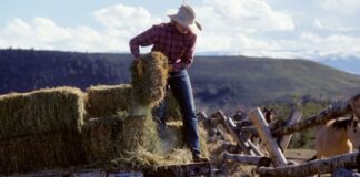 SE SOLICITA AYUDANTE DE RANCHO (NO REQUIERE EXPERIENCIA), PERSONA RESPONSABLE Y CON DISPOSICIÓN PARA APRENDER. BUEN PAGO Ayudante de Rancho en USA Empleo sin Experiencia en USA Empleo en Texas Ranch Helper in USA Job without Experience in USA Job in Texas