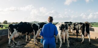 SE SOLICITAN AYUDANTES PARA GRANJA (PAREJA O INDIVIDUAL), NO SE REQUIERE EXPERIENCIA PREVIA. BUEN SUELDO Y BENEFICIOS Ayudantes para Granja empleo en Palmer empleo en Kansas empleado para granja en USA Empleo sin experiencia Granja Lechera Farm Helpers job employee in USA Job without experience Dairy Farm