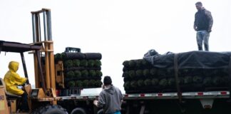 SE SOLICITA CONDUCTOR DE CAMIÓN/TRABAJADOR AGRÍCOLA (CON O SIN EXPERIENCIA), SE OFRECE ALOJAMIENTO Y BUEN SALARIO Conductor de Camión en USA Trabajador Agrícola en USA Empleo en Colorado empleo sin experiencia en USA Truck Driver in the USA Agricultural Worker in the USA Jobs in Colorado jobs without experience in the USA