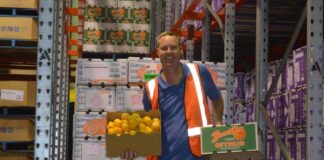 SE SOLICITAN ENCAJADORES/AS DE CÍTRICOS (MÍNIMA EXPERIENCIA), INCORPORACIÓN INMEDIATA. BUEN SALARIO Encajadores de Cítricos Empleo en Algemesí Empleo en Valencia empleo de envasador en España Citrus Packers packer jobs in Spain