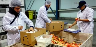 SE NECESITAN ENVASADORES/AS DE FRUTAS Y PRODUCTOS ALIMENTICIOS (CON O SIN EXPERIENCIA), 10 VACANTES DISPONIBLES Envasadores de Frutas y Alimentos Fruit and Food Packers