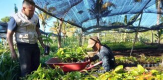 SE SOLICITAN PEONES/AS AGRÍCOLAS PARA VIVERO DE ÁRBOLES FRUTALES (NO REQUIERE EXPERIENCIA), SALARIO COMPETITIVO Peones Agrícolas Empleo sin experiencia ren España Vivero de Árboles Frutales en España Agricultural Laborer Job without experience in Spain Fruit Tree Nursery in Spain