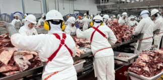 SE SOLICITAN OPERARIOS/AS PARA INDUSTRIA CÁRNICA (MÍNIMA EXPERIENCIA), INCORPORACIÓN INMEDIATA. BUEN SALARIO Operarios/as para Industria Cárnica Empleo en Pla d'Urgell Empleo en Lleida empleo de operario en España Laborers for the Meat Industry Operator employment in Spain