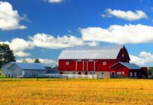 SE SOLICITAN 3 TRABAJADORES/AS DE GRANJA CON O SIN EXPERIENCIA (PRODUCCIÓN ORGÁNICA, CRÍA DE ANIMALES Y CULTIVO DE FRUTAS), CONTRATO PERMANENTE. BUEN PAGO POR HORA Trabajadores de Granja Empleo en Columbia Británica Empleo sin experiencia en Canadá Farm Workers Jobs in British Columbia Jobs without experience in Canada