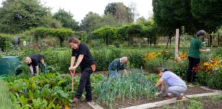 SE SOLICITAN TRABAJADORES DE JARDINERÍA (CON O SIN EXPERIENCIA), 38 VACANTES. PAGO ENTRE $21.35 A $30.00 POR HORA Trabajadores de Jardinería Jardineros en USA Empleo sin experiencia en USA Garden Workers Gardeners in the USA Jobs without experience in the USA job in Colorado