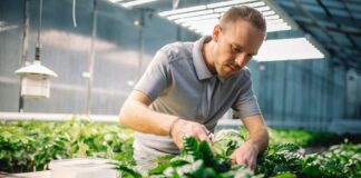 SE SOLICITAN 10 TRABAJADORES/AS DE VIVERO/INVERNADERO (POCA EXPERIENCIA), JORNADA DE LUNES A VIERNES, DE 7:00 A.M. A 4:00 P.M. BUEN PAGO Trabajadores de Vivero Invernadero Personal para Vivero en USA Empleo en Michigan Nursery Workers Greenhouse Nursery Staff in USA Employment in Michigan
