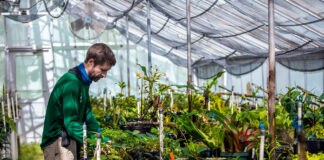 SE BUSCAN TRABAJADORES PARA VIVERO (12 PUESTOS), NO REQUIERE EXPERIENCIA. BUEN PAGO POR HORA Vivero en USA Trabajadores Para Vivero Empleo en Wisconsin Empleo sin experiencia en USA Nursery in USA Workers for Nursery Jobs in Wisconsin Jobs without experience in USA