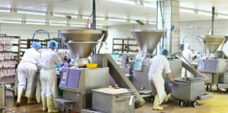 SE NECESITA AYUDANTE DE PRODUCCIÓN PARA EMPRESA DE ALIMENTOS (CON O SIN EXPERIENCIA), CONTRATO PERMANENTE. BUEN PAGO Ayudante de Producción en Canadá Empresa de Alimentos en Canadá Empleo en Quebec empleo de Producción en Canadá Production Assistant in Canada Food Company in Canada
