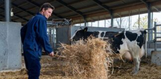 SE SOLICITAN AYUDANTES GENERALES PARA GRANJA DE GANADO (4 PUESTOS), CON O SIN EXPERIENCIA. BUEN PAGO + ALOJAMIENTO Ayudantes Generales Para Granja de Ganado en Canadá Empleo en Manitoba Empleo sin experiencia en Canadá General Farm Helpers in Canada