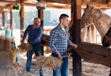 SE SOLICITAN AYUDANTES DE RANCHO CON O SIN EXPERIENCIA (HOMBRES Y MUJERES), 7 VACANTES. CONTRATO POR 8 MESES, BUEN PAGO POR HORA Ayudantes de Rancho en USA Ranchworkers