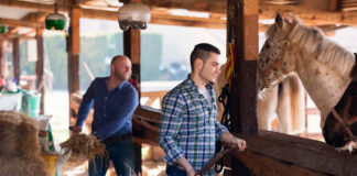 SE SOLICITAN AYUDANTES DE RANCHO CON O SIN EXPERIENCIA (HOMBRES Y MUJERES), 7 VACANTES. CONTRATO POR 8 MESES, BUEN PAGO POR HORA Ayudantes de Rancho en USA Ranchworkers