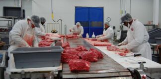 SE NECESITAN EMPACADORES DE CARNE (CON O SIN EXPERIENCIA), 2DO TURNO DE LUNES A VIERNES. BUEN PAGO POR HORA Empacadores de Carne Empleo en City of Industry Empleo en Los Ángeles Empleo en California Meat Packers Jobs in City of Industry Jobs in Los Angeles Jobs in California