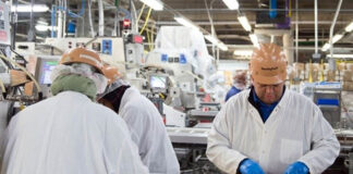 SE NECESITAN EMPACADORES/AS (CON O SIN EXPERIENCIA), 1ER TURNO DE MAÑANA. BUEN PAGO POR HORA Y BENEFICIOS Empacadores en USA Packers job Empleo en California