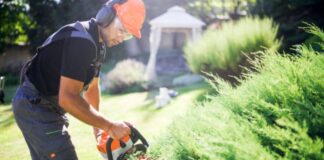 SE SOLICITA JARDINERO/A PARA MANTENIMIENTO Y CUIDADO DE LAS ÁREAS VERDES (MÍNIMA EXPERIENCIA), SALARIO COMPETITIVO Jardinero empleo en Curridabat empleo en San José Empleo de Jardinero en Costa Rica Gardener job in Curridabat job in San José Gardener job in Costa Rica