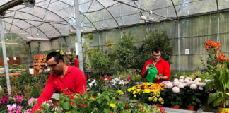 SE NECESITAN 60 TRABAJADORES PARA VIVERO DE PLANTAS (HOMBRES Y MUJERES), CON O SIN EXPERIENCIA. BUEN PAGO Trabajadores Para Vivero De Plantas nursery staff personal