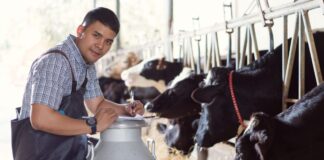 SE SOLICITAN 2 TRABAJADORES DE GRANJA LECHERA (NO REQUIERE ESTUDIOS, NI EXPERIENCIA), SE OFRECE ALOJAMIENTO Y BUEN PAGO Trabajadores de Granja Lechera en Canadá Empleo en Columbia Británica Empleo sin experiencia en Canadá Dairy Farm Workers in Canada Jobs in British Columbia