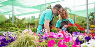 SE SOLICITAN TRABAJADORES/AS PARA LA COSECHA Y MANIPULACIÓN DE FLORES FRESCAS (POCA EXPERIENCIA), 1ER TURNO. PAGO $19.97 POR HORA Trabajadores para la Cosecha y Manipulación de Flores Frescas en Estados Unidos Willow Creek Empleo en California Fresh Flower Harvesting and Handling