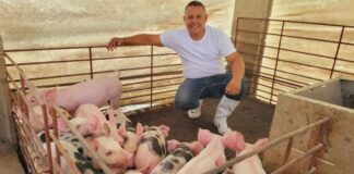 SE SOLICITA GRANJERO/A PARA GRANJA DE CERDOS (POCA EXPERIENCIA), INGRESO INMEDIATO. BUEN SALARIO Granjero Para Granja de Cerdos Empleo en Figueres Empleo en Girona Pig Farm Farmer Jobs in Figueres Jobs in Girona