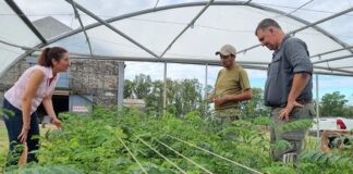 SE PRECISA PEÓN AGRÍCOLA PARA VIVERO DE ÁRBOLES FRUTALES (POCA EXPERIENCIA), INGRESO INMEDIATO. BUEN SALARIO Peón Agrícola en España empleo en Lleida Vivero de Árboles en España Agricultural Laborer in Spain employment in Lleida Tree Nursery in Spain