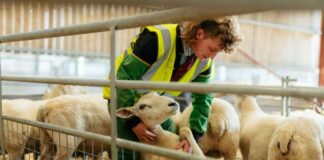 SE SOLICITAN TRABAJADOR/A GENERAL DE GRANJA (GANADERÍA COMBINADA) NO REQUIERE EXPERIENCIA, SE ENTRENARÁ. CONTRATO PERMANENTE. PAGO $20.00 POR HORA Trabajador General de Granja Ganadería Combinada en Canadá empleo sin experiencia en Canadá General Farm Worker Combined Livestock in Canada
