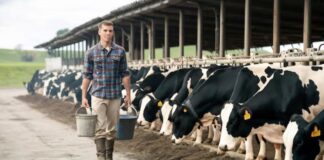SE SOLICITAN 2 TRABAJADORES/AS GENERALES DE GRANJA (GANADERÍA), CON O SIN EXPERIENCIA. BUEN PAGO + BENEFICIOS Trabajadores General de Granja Ganadería Empleado Para Rancho en Canadá Empleo en Ontario Empleo sin experiencia en Canadá General Farm Workers Livestock Ranch Employee in Canada