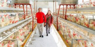 SE NECESITAN 36 TRABAJADORES PARA GRANJA AVÍCOLA (HOMBRES Y MUJERES), POCA EXPERIENCIA. 40 HORAS SEMANALES, BUEN PAGO Trabajadores Para Granja Avícola en USA Trabajadores Avícolas en Estados Unidos empleo en Arkansas Poultry Farm Workers in USA Poultry Workers in USA jobs in Arkansas