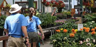 SE NECESITAN TRABAJADORES DE VIVERO DE PLANTAS (HOMBRES Y MUJERES), 14 VACANTES. NO REQUIERE EXPERIENCIA PREVIA, BUEN PAGO Trabajadores de Vivero de Plantas en USA Empleo sin experiencia en USA Empleo en Forest Hill Empleo en Luisiana Nursery Plant Workers in USA Employment in Louisiana