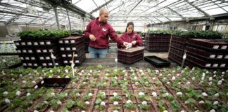 SE SOLICITAN 8 TRABAJADORES PARA VIVERO DE PLANTAS (HOMBRES Y MUJERES), NO REQUIERE EXPERIENCIA PREVIA, BUEN PAGO Trabajadores para Vivero de Plantas en USA empleo en Wisconsin empleo sin experiencia en Estados Unidos Nursery Workers in the USA jobs in Wisconsin jobs without experience in the United States