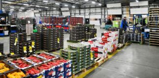 SE SOLICITAN AYUDANTES DE BODEGA TURNO NOCHE Y DÍA (ROTATIVO), CONTRATO POR TIEMPO INDEFINIDO. BUEN SALARIO Ayudantes de Bodega almacen de frutas empleo de Bodeguero en Costa Rica empleo en Heredia Warehouse Assistants Fruit Warehouse in Costa Rica