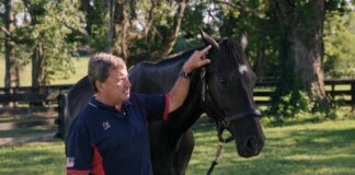 SE SOLICITAN 5 AYUDANTES DE RANCHO PARA CUIDADO Y MANEJO DE CABALLOS, NO REQUIERE EXPERIENCIA. PAGO $3047,04 AL MES Ayudantes de Rancho en USA Cuidado y Manejo de Caballos en USA empleo sin experiencia en USA empleo en Texas Ranch Helpers in the USA in the USA Jobs in Texas