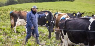 SE SOLICITA TRABAJADOR/A DE GRANJA LECHERA (NO SE REQUIERE EXPERIENCIA PREVIA), CONTRATO PERMANENTE. PAGO $25.00 POR HORA Trabajador de Granja Lechera en Crysler empleo en Ontario Empleo sin experiencia en Canadá Dairy Farm Worker in Crysler employment in Ontario Jobs without experience in Canada