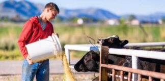 SE SOLICITA TRABAJADOR PARA FINCA GANADERA (MÍNIMA EXPERIENCIA), SE OFRECE ALOJAMIENTO Y BUEN SALARIO Trabajador para Finca Ganadera en Costa Rica trabajo con alojamiento en la finca Worker for a Livestock Farm in Costa Rica work with accommodation on the farm