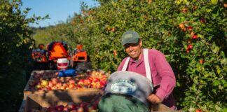 SE SOLICITAN 3 TRABAJADORES/AS GENERALES DE GRANJA (SIEMBRA, CULTIVO Y RECOLECCIÓN DE FRUTAS), CON O SIN EXPERIENCIA. SALARIO $ 3120 AL MES Trabajadores Generales de Granja siembra cultivo y recolección de frutas en Columbia Británica empleo sin experiencia en Canadá General Farm Workers Planting Cultivation and Fruit Harvesting