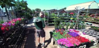 SE SOLICITAN 12 TRABAJADORES/AS PARA VIVERO DE PLANTAS (NO REQUIERE EXPERIENCIA). JORNADA DE 6 HORAS DIARIAS, TURNO DE MAÑANA. BUEN PAGO Trabajadores para Vivero de Plantas en USA empleos agrícolas con visa H2A empleo en Luisiana Plant Nursery Workers in the USA, Agricultural Jobs with H2A Visas Employment in Louisiana
