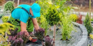 SE SOLICITAN 2 AYUDANTES DE JARDINERO (CON O SIN EXPERIENCIA), SE PROPORCIONARÁ ENTRENAMIENTO. PAGO $19.50 POR HORA Ayudantes de jardinero Ofertas laborales en Canadá Trabajo con o sin experiencia Gardening Helpers Job Offers in Canada