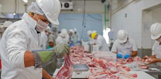 SE PRECISA OPERARIO/A CÁRNICO/A PARA IMPORTANTE EMPRESA DEL SECTOR CÁRNICO. TURNO DE MAÑANA, PAGO 12,37 € LA HORA Operario Cárnico Empresa del sector cárnico en España Empresa del sector cárnico en Madrid Empleo en Madrid Meat Processor Meat Company in Spain Meat Company in Madrid Jobs in Madrid