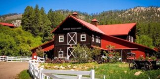 SE SOLICITAN 18 TRABAJADORES GANADEROS (CON O SIN EXPERIENCIA), PAGO $17.84 POR HORA + BONIFICACIONES SEGÚN RENDIMIENTO + ALOJAMIENTO Trabajadores Ganaderos en USA empleo sin experiencia en EE.UU. Rancho en Colorado Livestock Workers in the USA employment without experience in the USA Ranch in Colorado